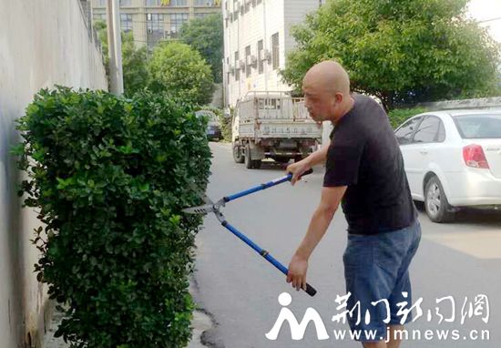 邓志银义务为绿化带剪枝。