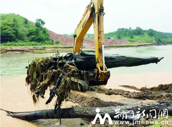 挖掘机打捞“乌木”。