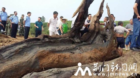 当地村民和公安部门一起守护“乌木”。