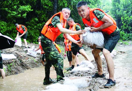 日报八版1dQ0720006