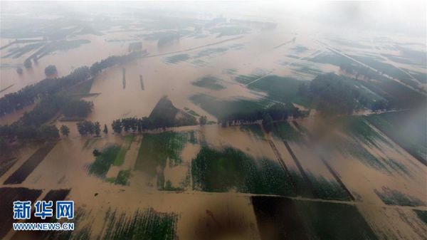 129159974_14689345900691n