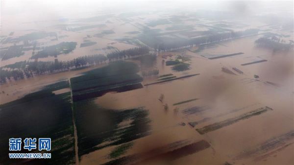 129159974_14689345921551n