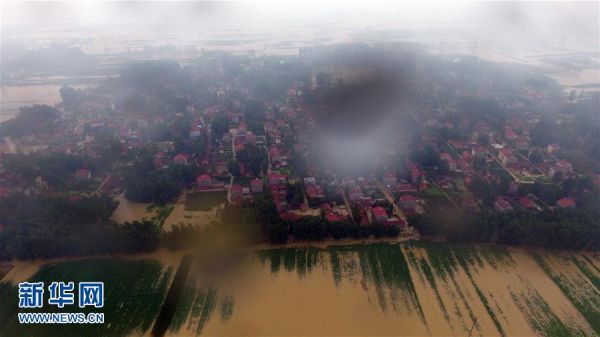 129159974_14689345901451n