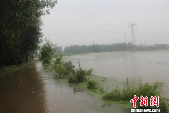 马良镇张集村已经成为一片汪洋。很难找到出村的道路 钟欣 摄