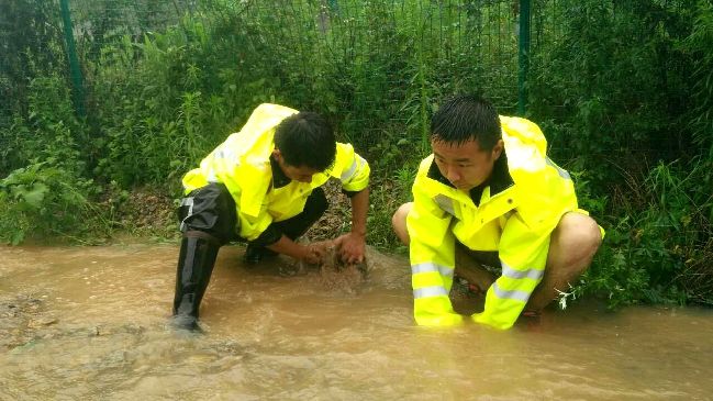 暴雨来袭险情并发 宜巴高速多方联动紧急抢险保畅通