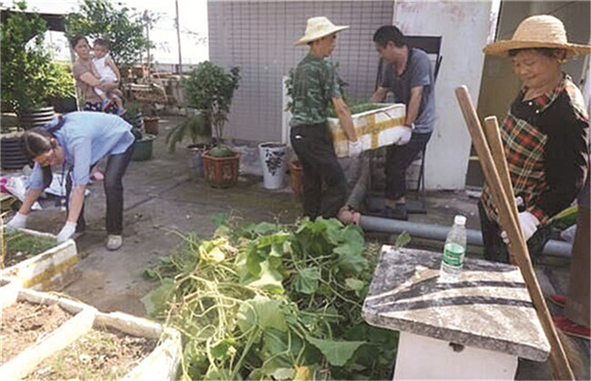 居民楼顶变菜园 有人欢喜有人愁