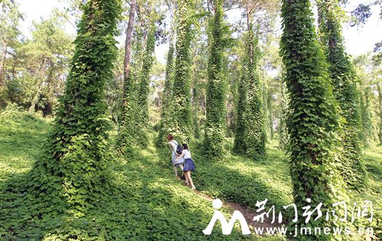 漳河避暑2_副本