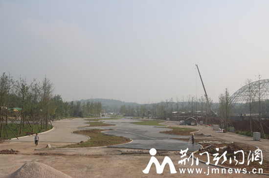 植物园主园路（透水混凝土浇筑），中央大道建设完毕