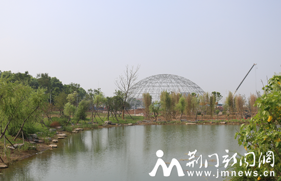 精品菊花寄养中心远景