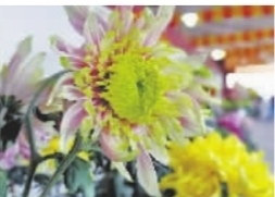 图为李建祥获金奖作品