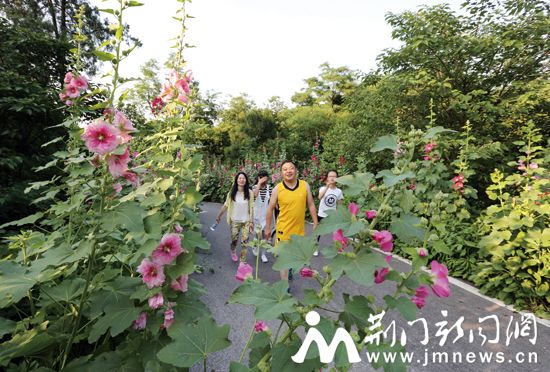 东宝山花香四溢