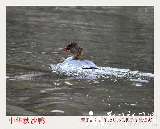 董玉清2016年12月16日摄于东宝钱河_DSC6515_副本