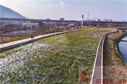 漫步磁湖湿地公园
