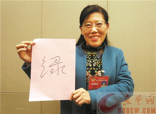 黄石未来五年 你较期待的是什么 起笔2017 政协委员一字抒怀