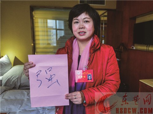 黄石未来五年 你较期待的是什么 起笔2017 人大代表一词展望