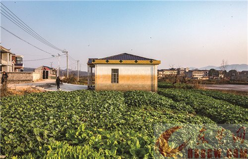 东楚晚报记者“新春走基层” 探访沙湖村 去年洪水围困  如今“孤岛”重生