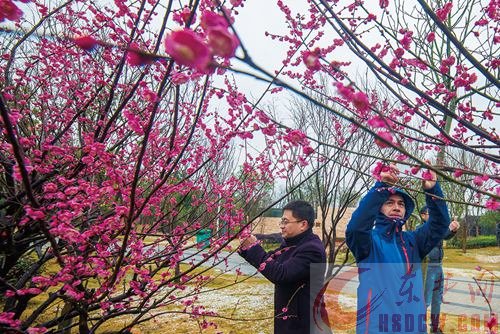 2017年的场雪意外而至