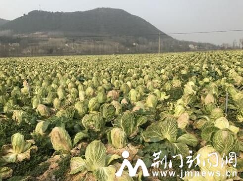 QQ截图20170216091333