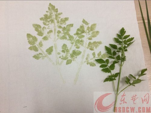 小小锤子敲下去 美丽画作留下来 有兴趣的，不妨来玩一下“敲画”