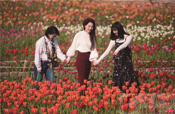 人间三月天 黄石百花鲜