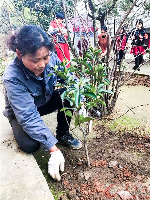 西花苑社区扮靓居住环境