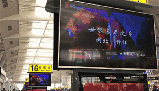QQ截图20170410091037