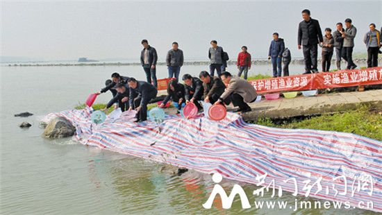 正文鱼种-_副本