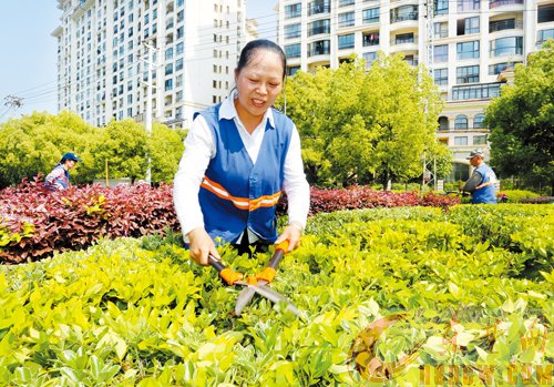 园林技能大赛 园林技能大赛