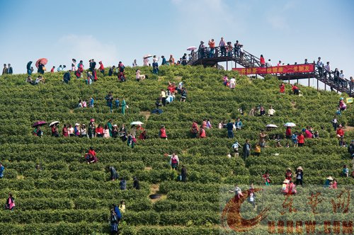 决战决胜 打赢打好脱贫攻坚战 决战决胜 打赢打好脱贫攻坚战