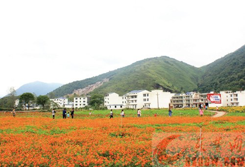 决战决胜 打赢打好脱贫攻坚战 决战决胜 打赢打好脱贫攻坚战