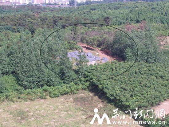 无人机巡查发现的林中准备用来建房的砖头0_副本