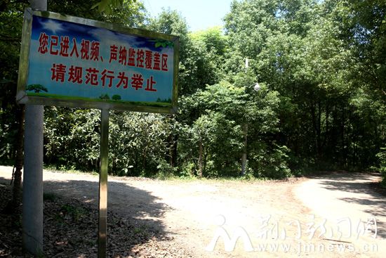 路口监控-(2)