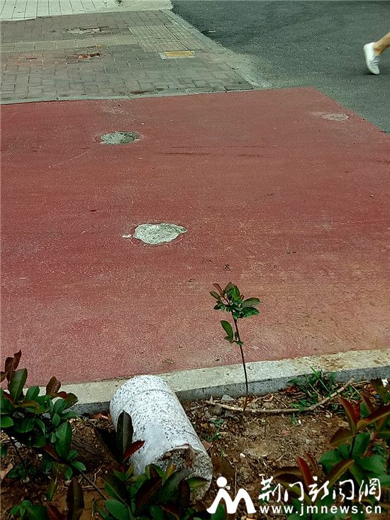 龙泉山庄大门前