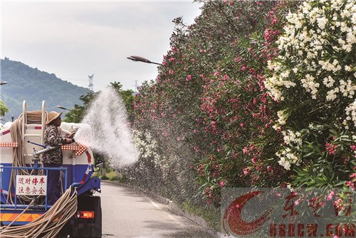 铁山开启全域赏花模式