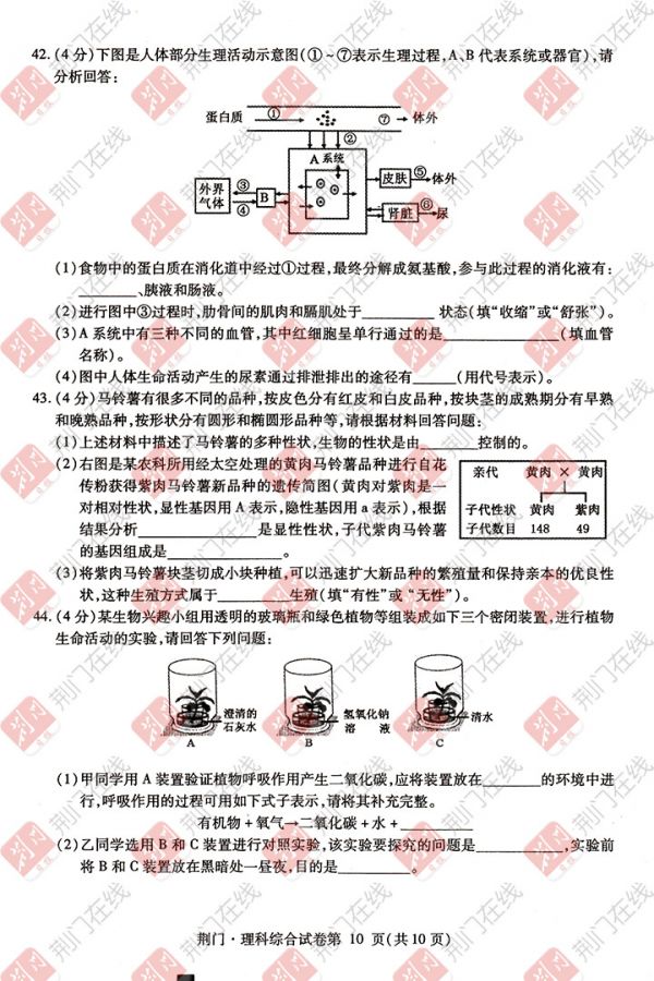 2017年荆门中考试卷及答案新鲜出炉 考生可估分