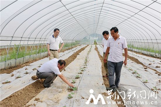 指导生产