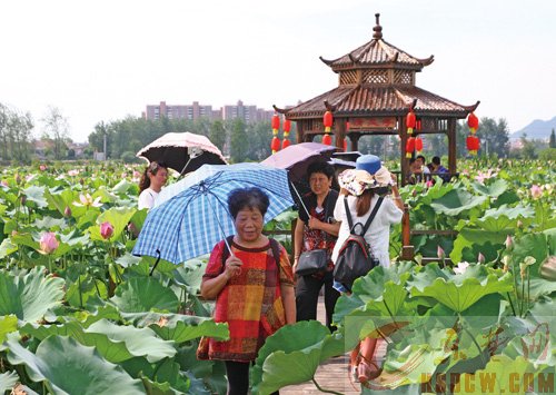 看美景 品美食 游古村落 保安湖畔，东楚晚报“赏荷团”玩嗨了