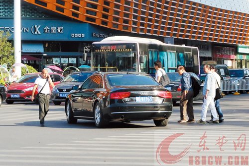 不礼让行人,136辆车被曝光 不礼让行人,136辆车被曝光