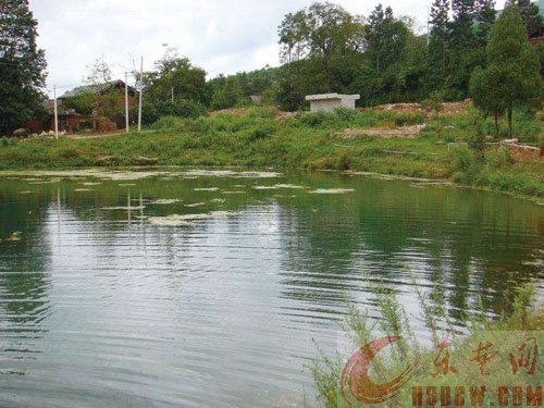 龙港镇:红色土地 朝圣之旅 龙港镇:红色土地 朝圣之旅