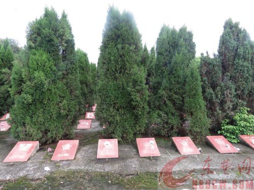 龙港镇:红色土地 朝圣之旅 龙港镇:红色土地 朝圣之旅